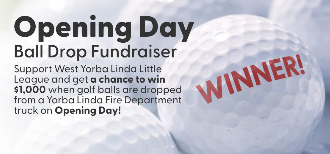 Ball Drop Fundraiser